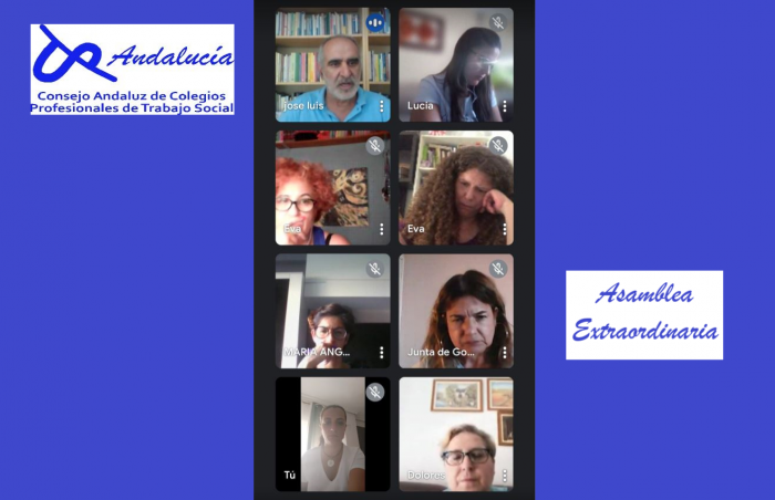 Asamblea Extraordinaria del Consejo Andaluz de Colegios Profesionales/Oficiales de Trabajo Social