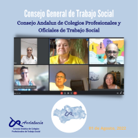 Reunión con el Consejo General de Trabajo Social