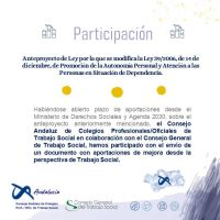 Participación en el Anteproyecto de Ley por la que se modifica la Ley 39/2006, de 14 de diciembre, de Promoción de la Autonomía Personal y Atención a las Personas en Situación de Dependencia 