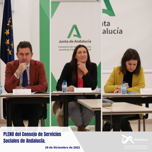 Sesión Ordinaria del Pleno del Consejo de los Servicios Sociales de Andalucía