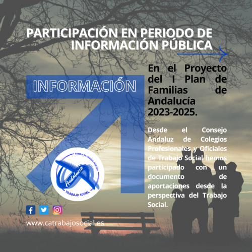 Participamos en el Proyecto del I Plan de Familias de Andalucía 2023-2025.
