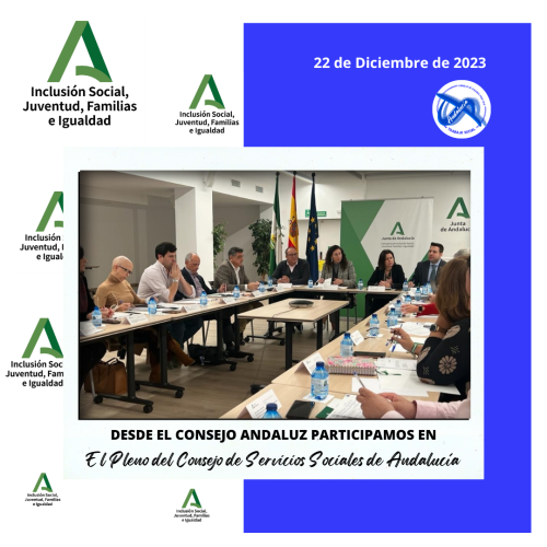 Participamos en el Pleno del Consejo de Servicios Sociales de Andalucía